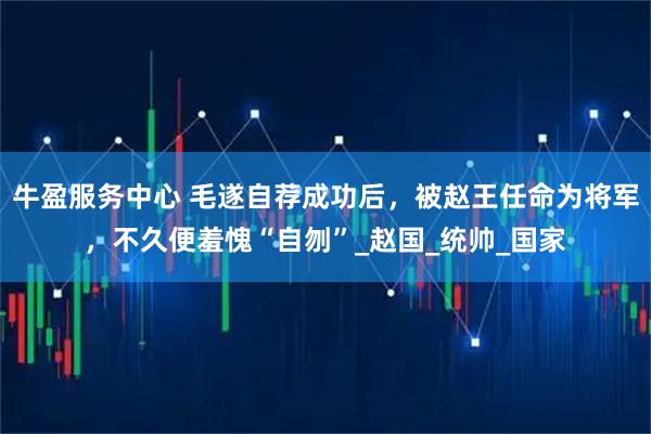 牛盈服务中心 毛遂自荐成功后，被赵王任命为将军，不久便羞愧“自刎”_赵国_统帅_国家
