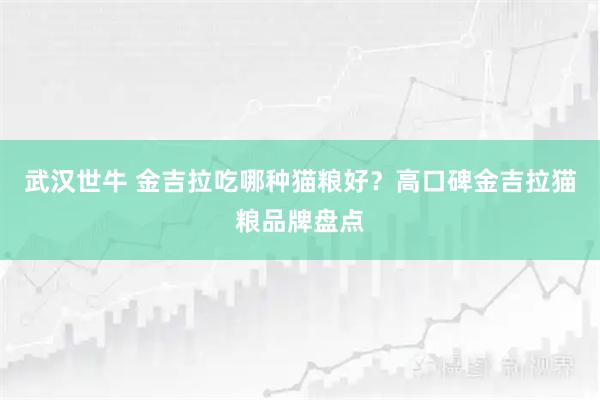 武汉世牛 金吉拉吃哪种猫粮好？高口碑金吉拉猫粮品牌盘点