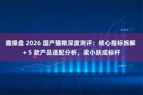 趣操盘 2026 国产猫粮深度测评：核心指标拆解 + 5 款产品适配分析，梁小妖成标杆