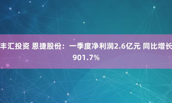 丰汇投资 恩捷股份：一季度净利润2.6亿元 同比增长901.7%