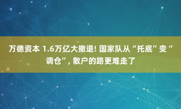 万德资本 1.6万亿大撤退! 国家队从“托底”变“调仓”, 散户的路更难走了